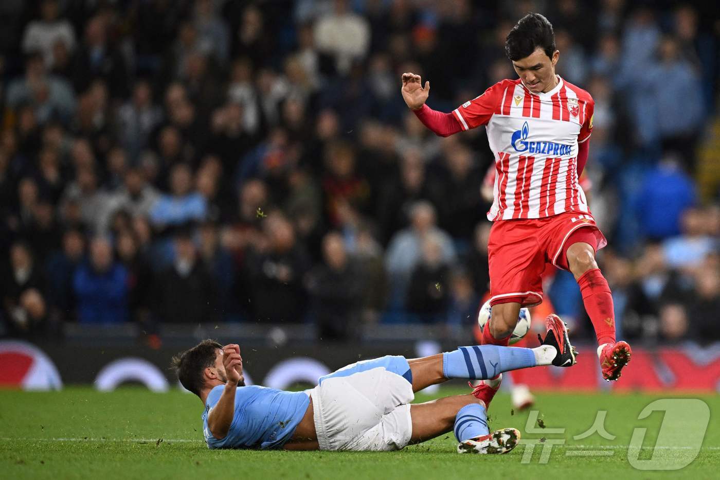 본문 이미지 - 즈베즈다의 핵심 미드필더로 발돋움한 황인범. ⓒ AFP=뉴스1