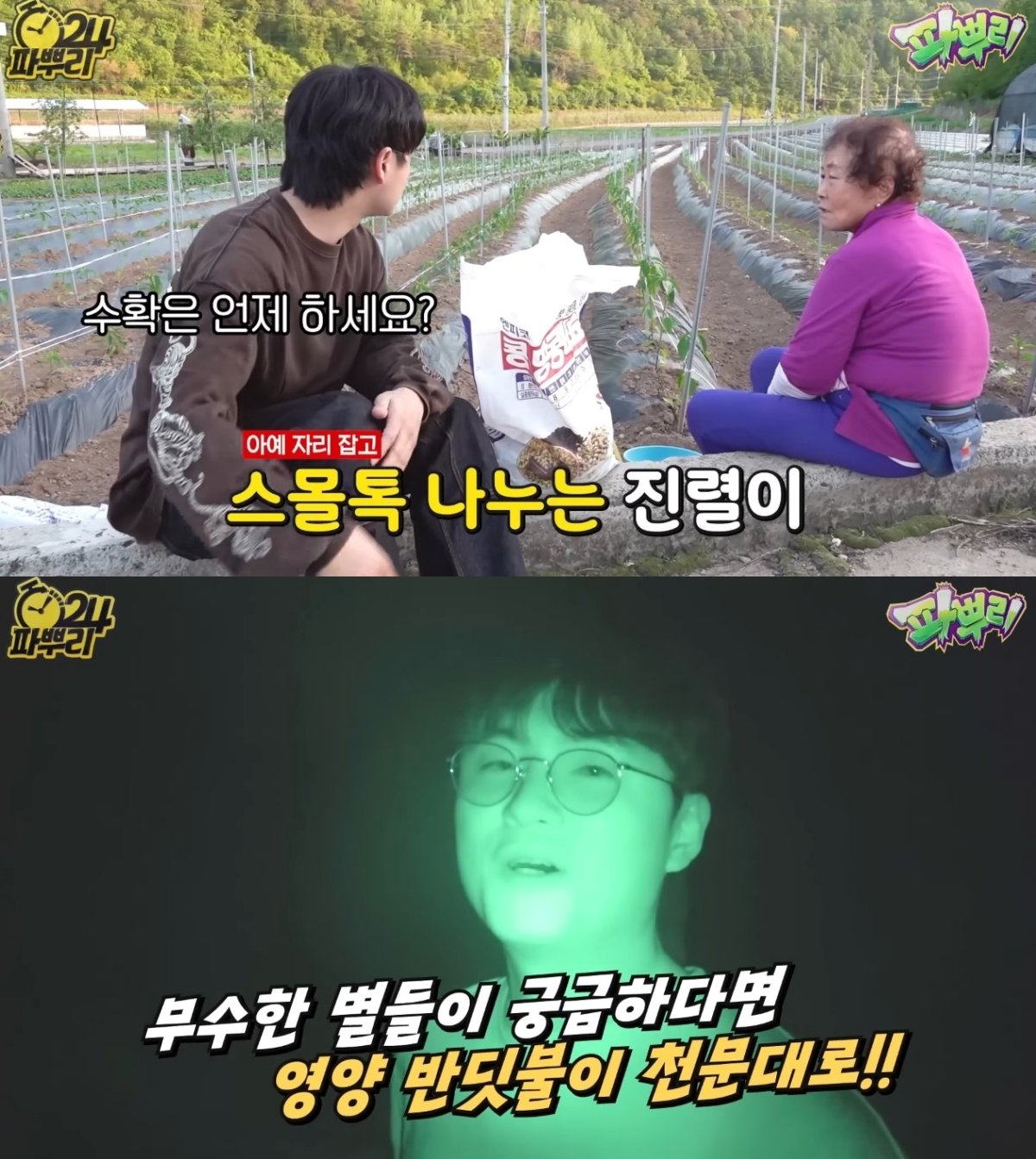 본문 이미지 - ('파뿌리' 갈무리)