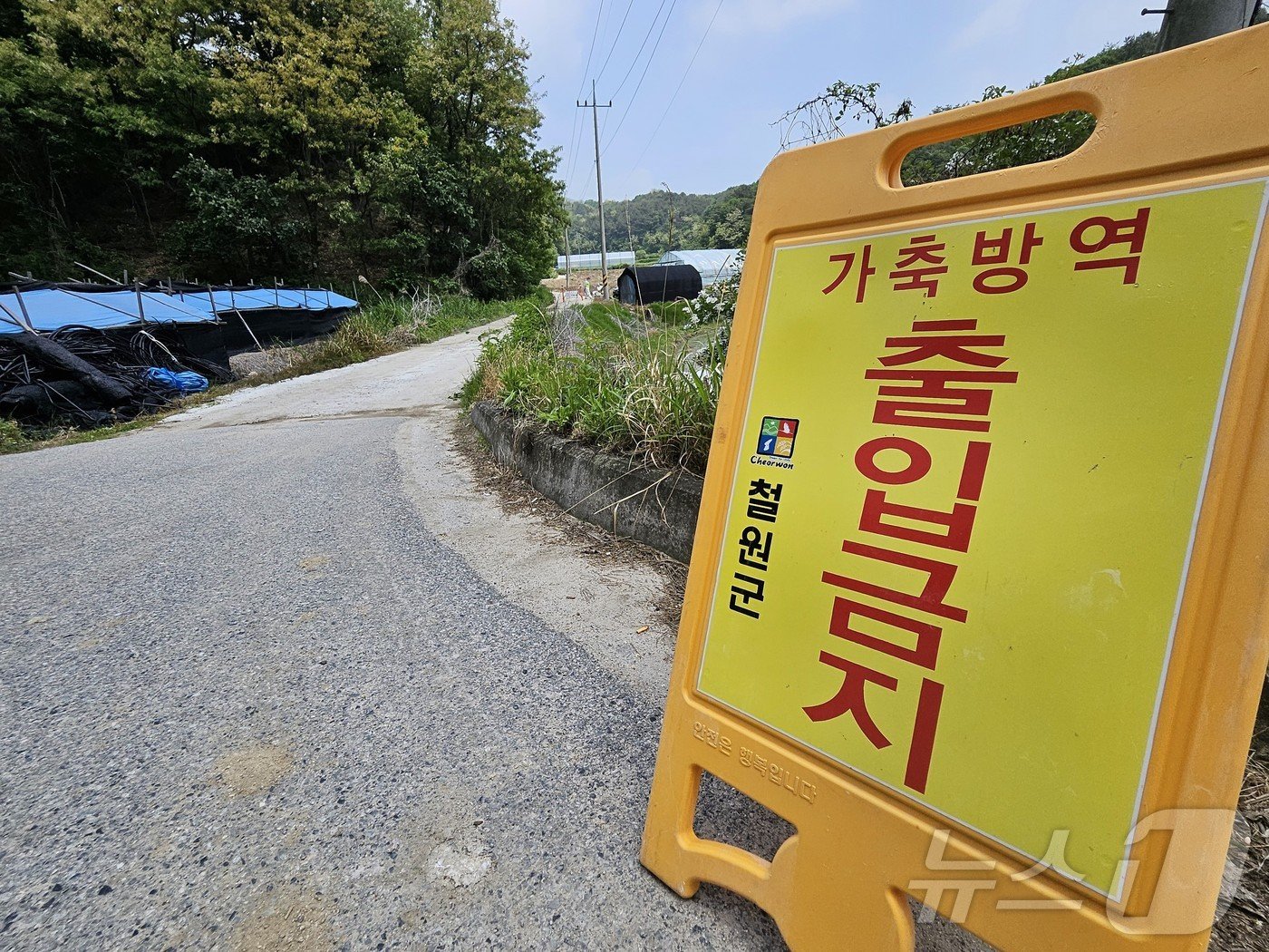 강원 철원 갈말읍 내대리의 한 양돈농가에서 아프리카돼지열병이 발생한 가운데 22일 농가 인근에 출입금지 안내문이 세워져 있다. 2024.5.22 한귀섭 기자