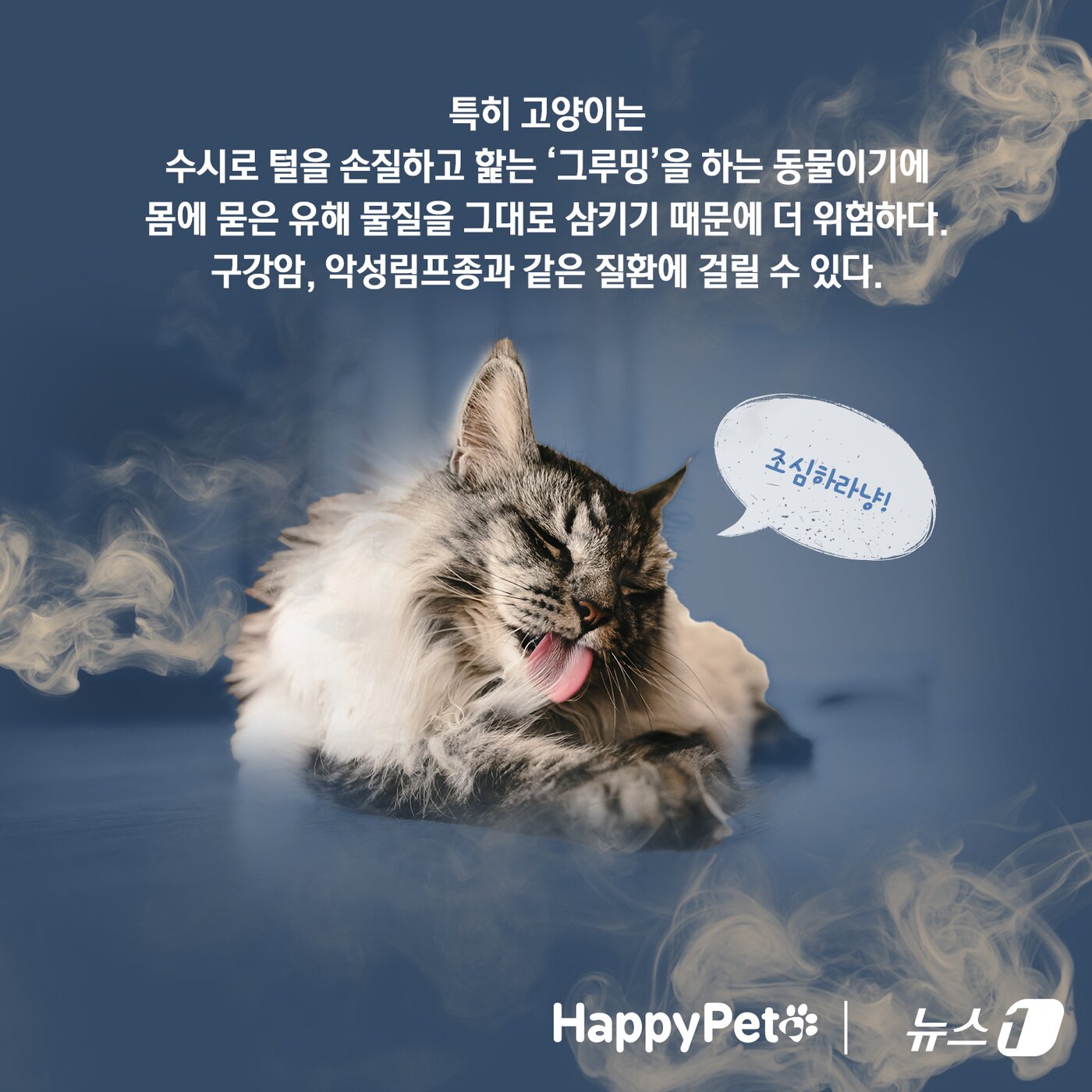 본문 이미지 - 반려동물에게도 위험한 간접흡연 펫카드 ⓒ 뉴스1