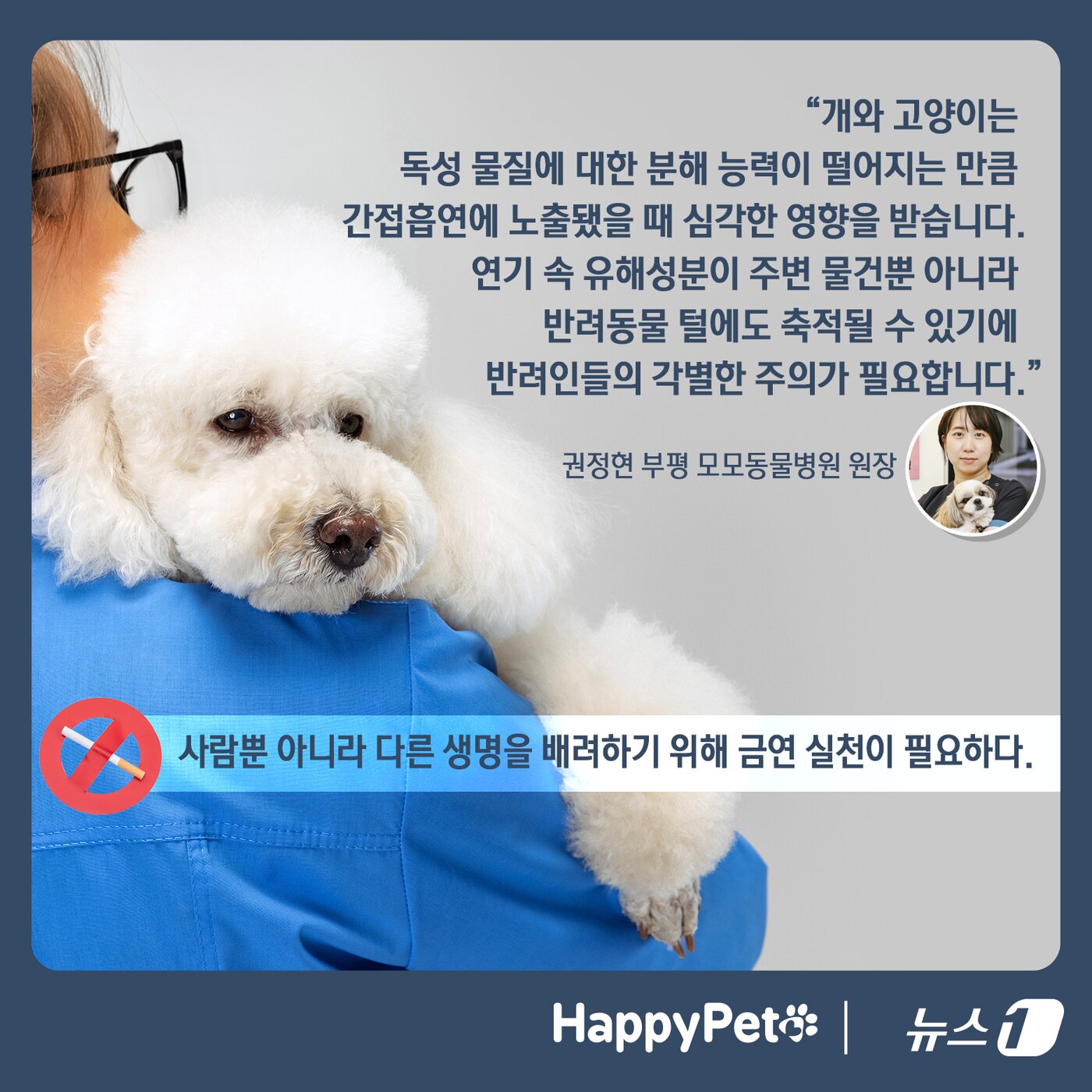 본문 이미지 - 반려동물에게도 위험한 간접흡연 펫카드 ⓒ 뉴스1