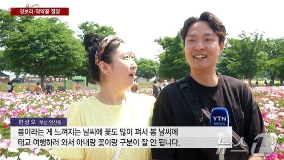 본문 이미지 - YTN 화면 갈무리