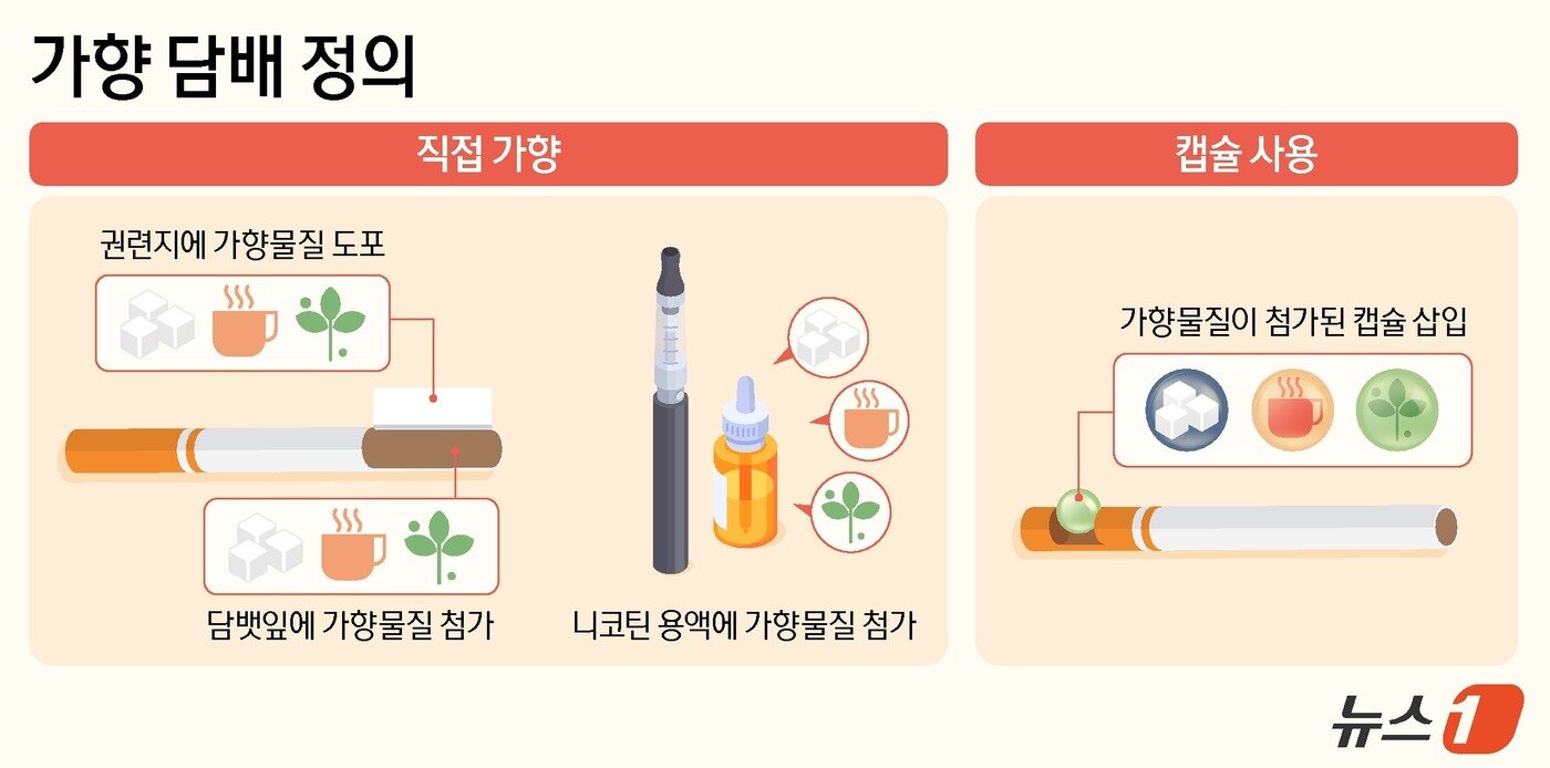 본문 이미지 - ⓒ News1 양혜림 디자이너