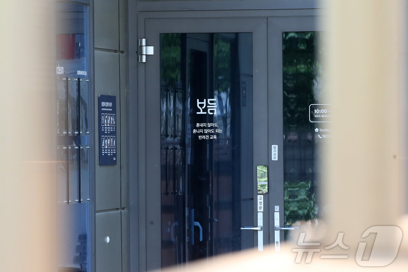 본문 이미지 - 사진은 23일 강형욱 훈련사가 대표로 있는 경기 남양주시 보듬컴퍼니. 2024.5.23/뉴스1 ⓒ News1 이승배 기자