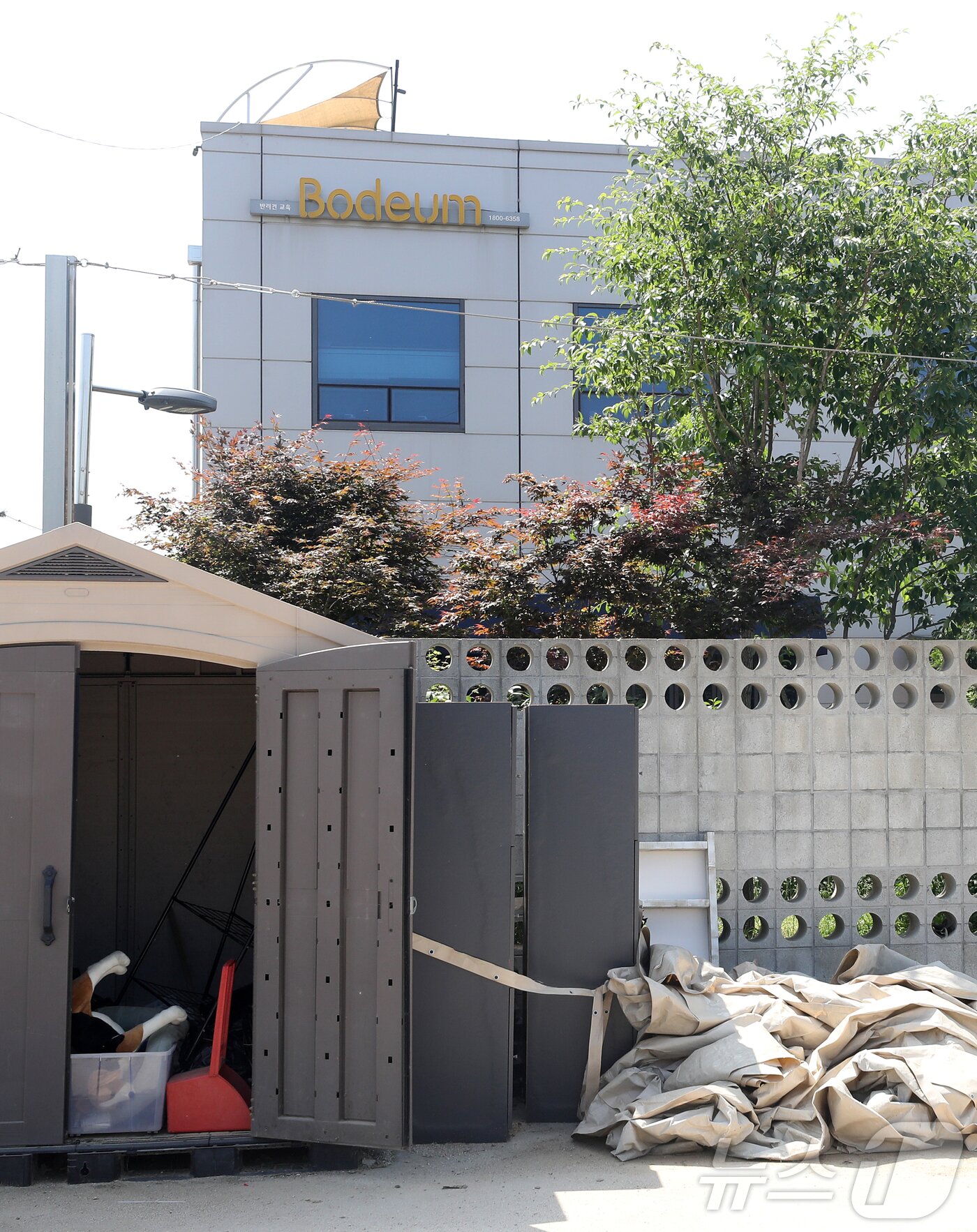 본문 이미지 - '개통령' 강형욱 훈련사가 자신이 대표로 있는 회사에서 직원들에게 폭언 등 '갑질'을 했다는 의혹이 확산하고 있는 가운데, 고용노동부가 조사 착수 여부를 검토 중인 것으로 알려졌다. 강 대표는 이에 대해 어떠한 입장도 내놓지 않고 있는 상황으로 회사는 폐업수순을 밟고 있는 것으로 알려졌다. 사진은 23일 강형욱 훈련사가 대표로 있는 경기 남양주시 보듬컴퍼니. 2024.5.23/뉴스1 ⓒ News1 이승배 기자