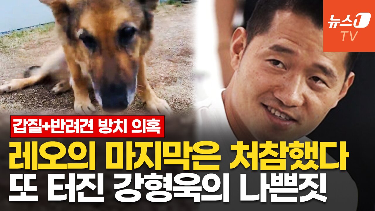 본문 이미지 -  