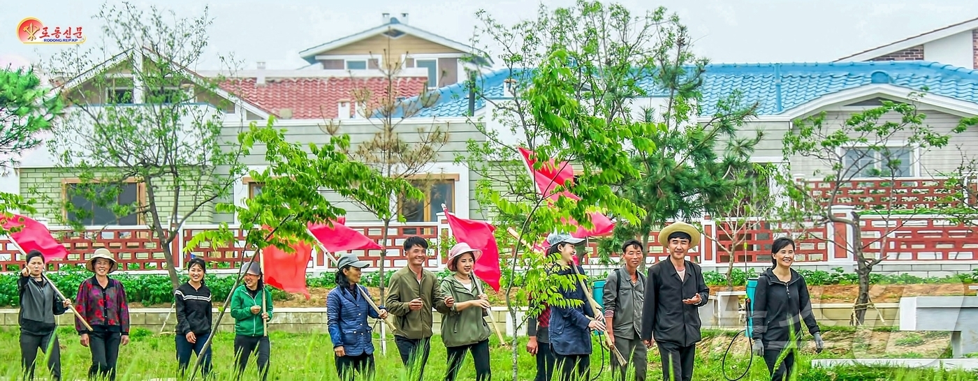 (평양 노동신문=뉴스1) = 북한 노동당 기관지 노동신문은 24일 전위거리와 농촌마을 새집들이 소식에 각지 인민들의 충성과 애국의 열기가 뜨거워지고 있다고 보도했다. [국내에서만 …