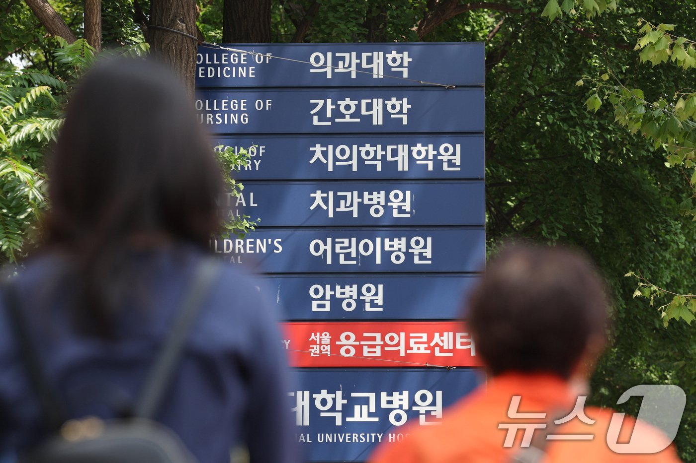 본문 이미지 - 24일 서울의 한 대학 의과대학의 모습. 2024.5.24/뉴스1 ⓒ News1 신웅수 기자