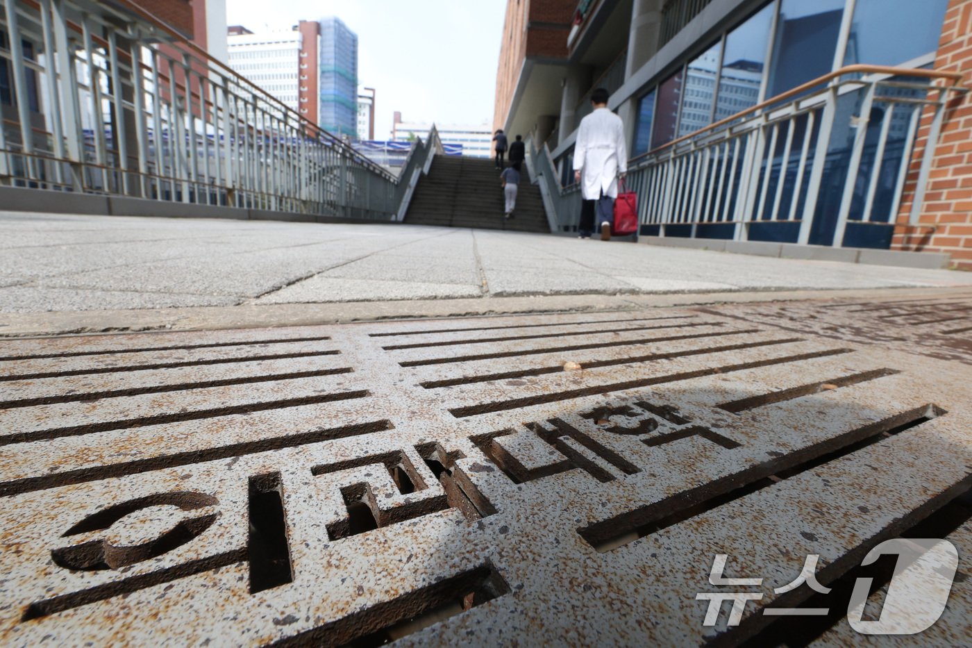 본문 이미지 -  24일 서울의 한 대학 의과대학의 모습. 2024.5.24/뉴스1 ⓒ News1 신웅수 기자