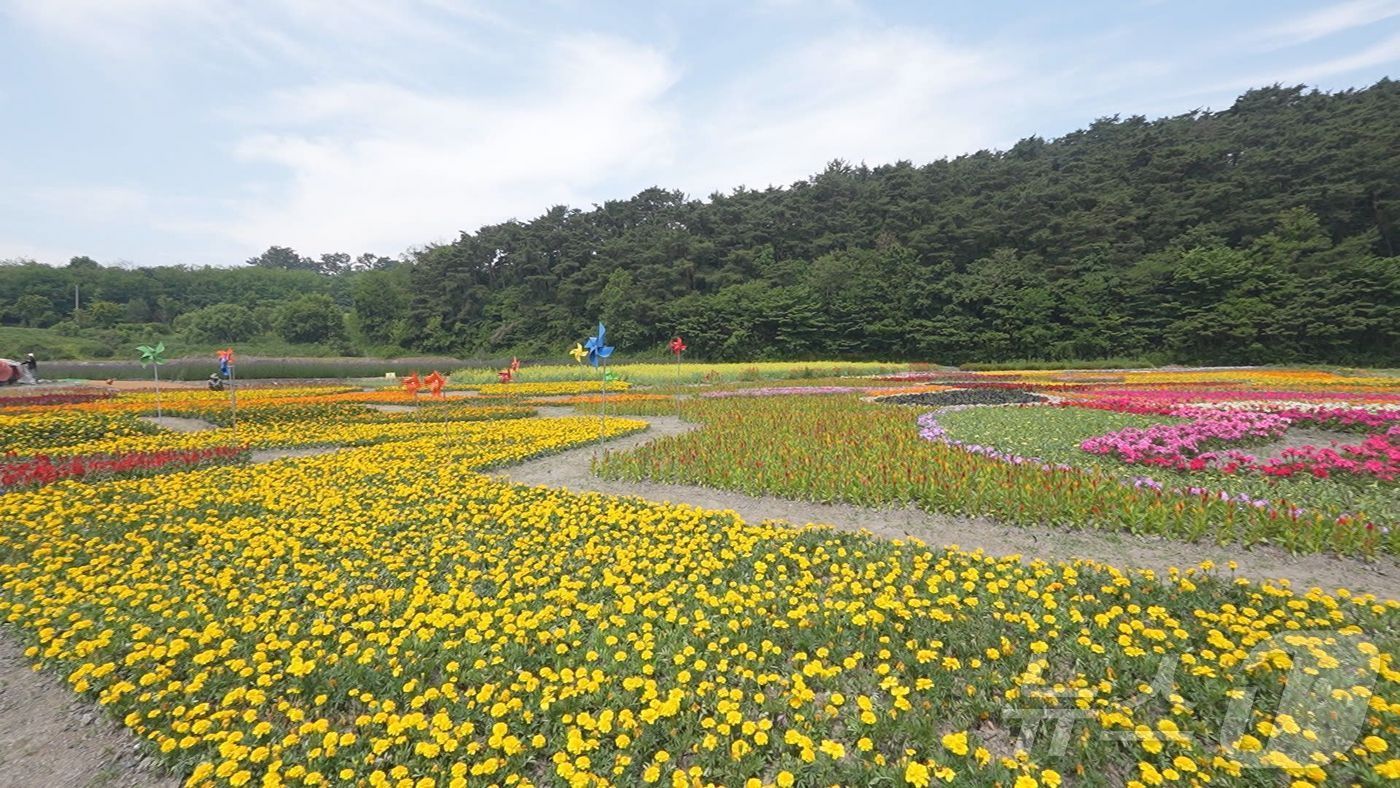  ‘2024 고창 꽃정원 치유문화축제’고창꽃정원&#40;고창군 제공&#41;2024.5.24/뉴스1