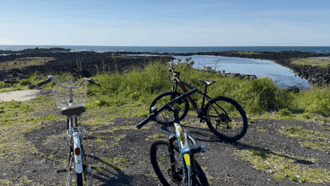 본문 이미지 - 해비치 리조트 제주의 '바이크 라이딩'이 진행 중인 모습. ⓒ 뉴스1 김형준 기자