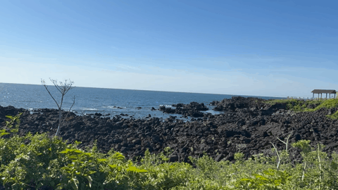 본문 이미지 - 자전거를 타고 지나치는 제주 표선 앞바다의 풍경. ⓒ 뉴스1 김형준 기자