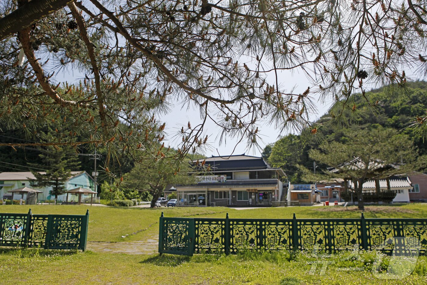 본문 이미지 - 석송령에서 보이는 마을 일대가 석송령의 땅이다(한국관광공사 제공)