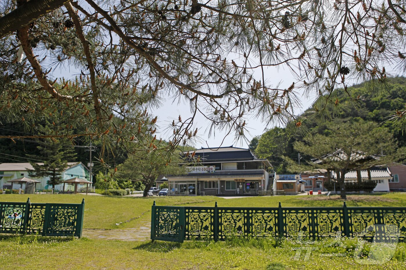 석송령에서 보이는 마을 일대가 석송령의 땅이다&#40;한국관광공사 제공&#41;