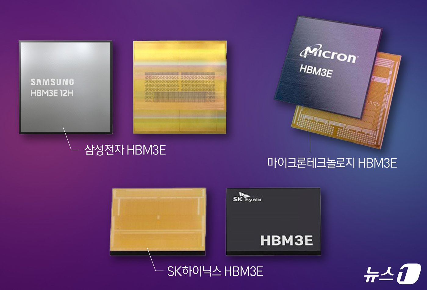 본문 이미지 - ⓒ News1 양혜림 디자이너