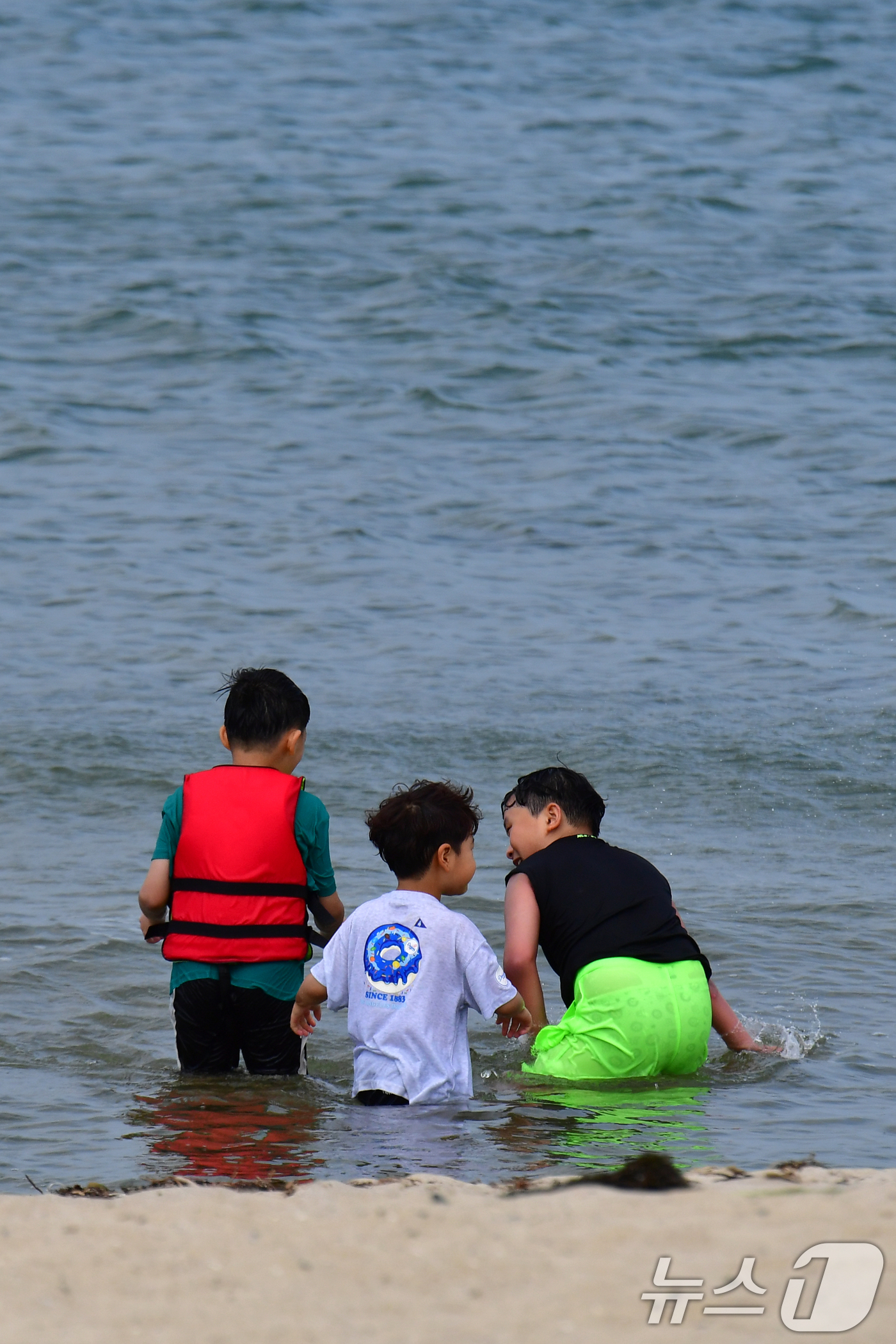 (포항=뉴스1) 최창호 기자 = 경북 포항시의 낮 최고 기온이 28.6도까지 올라가며 초여름 날씨를 보인 26일 오후 송도해수욕정에서 어린이들이 바닷물에 뛰어들어 더위를 식히고 있 …