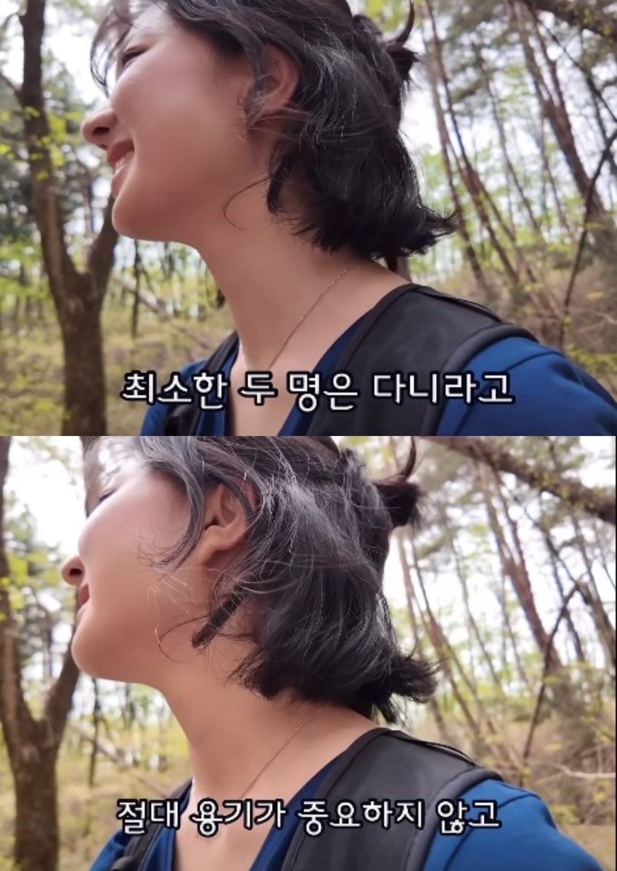 본문 이미지 - ('산 속에 백만송희' 갈무리)