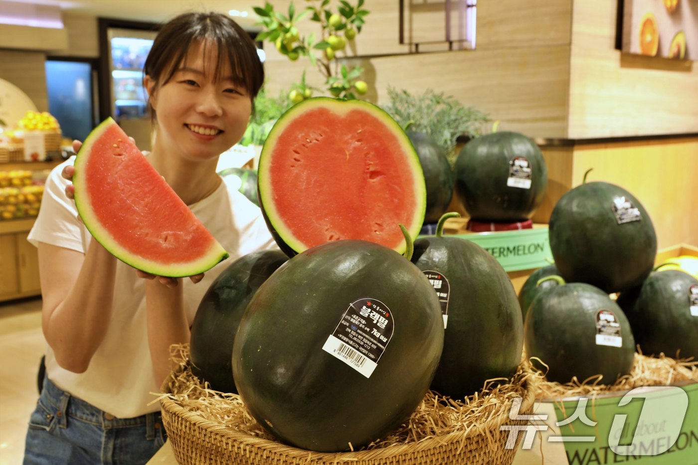 (서울=뉴스1) = 롯데백화점이 27일 본점과 잠실점을 비롯한 수도권 10개 점포에서 국내 단 한 명 뿐인 수박 명인의 흑수박을 출시했다.이번에 판매하는 흑수박은 대한민국 농촌진흥 …