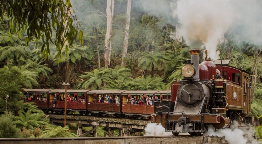 본문 이미지 - 관광객들이 증기기관차륽 타고 이동하고 있다. /퍼핑 빌리 레일웨이 제공