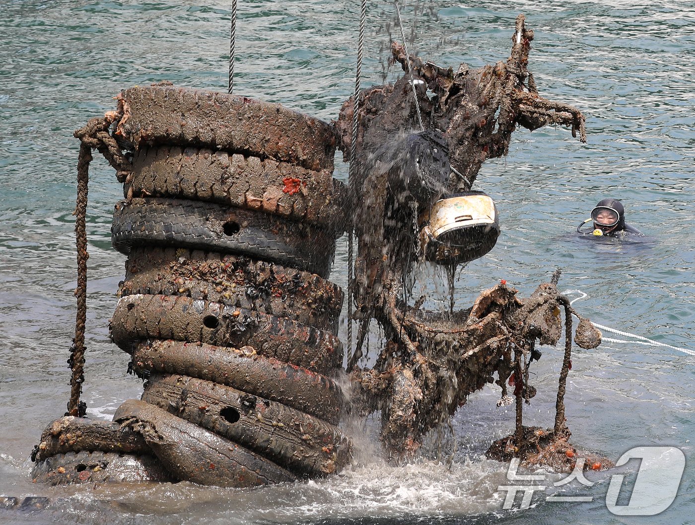 본문 이미지 - 제29회 바다의 날을 사흘 앞둔 28일 부산 영도구 봉래동 물양장에서 중앙해양특수구조단, 한국해양구조협회 전문 다이버 등이 바닷속에 버러져 있던 폐타이어와 오토바이를 크레인을 동원해 육지로 끌어올리고 있다. 부산시와 부산해양경찰서가 공동 주관한 이번 해양환경정화 활동 행사에는 영도구, 해양환경공단, 부산항만공사, 한국해양구조협회, 민간 기업·협회 등 19개 기관·단체와 시민 등 160여 명이 참여했다. 2024.5.28/뉴스1 ⓒ News1 윤일지 기자
