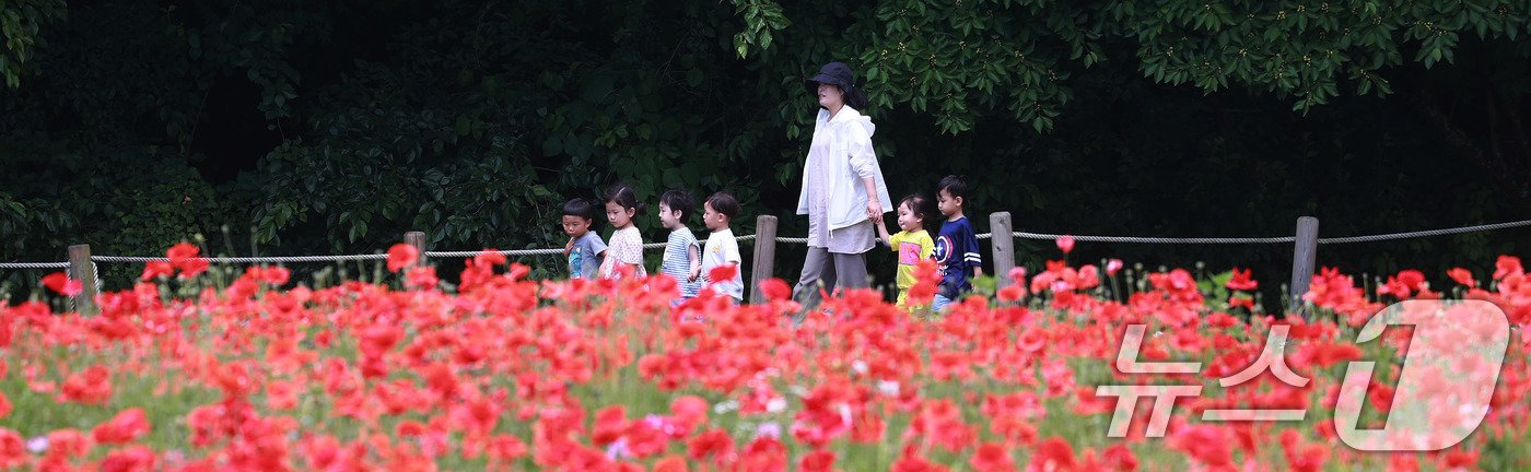 28일 경남 함양군 상림공원을 찾은 어린이들이 양귀비꽃을 구경하며 즐거운 시간을 보내고 있다. &#40;함양군 김용만 제공&#41; 2024.5.28/뉴스1