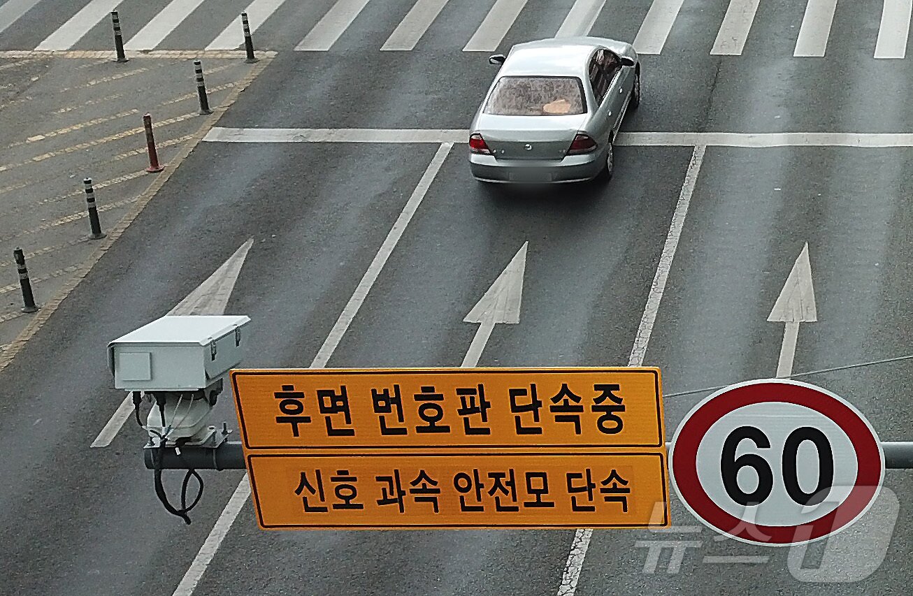 본문 이미지 - 후면 번호판 단속카메라. 해당 기사 내용과는 무관. 2024.5.28/뉴스1 ⓒ News1 공정식 기자