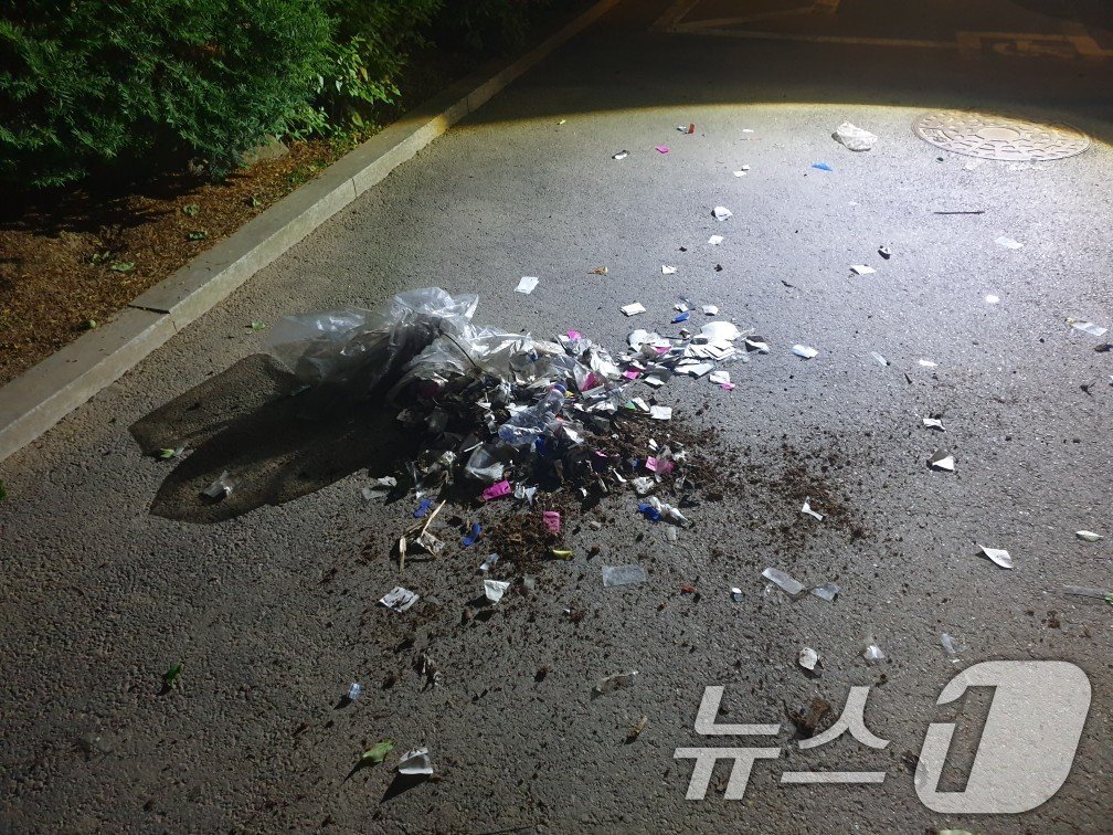 본문 이미지 - 사진은 서울지역에서 발견된 북한 대남풍선. (합동참모본부 제공) 2024.5.29/뉴스1