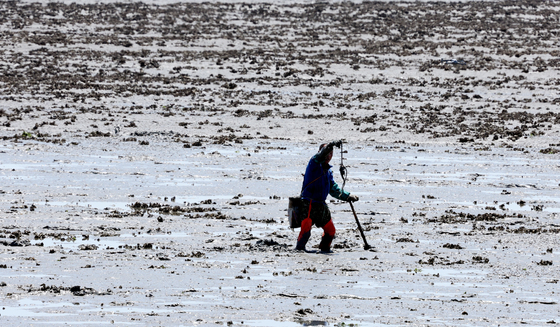 "어민·유어객 갈등 막는다"…인천시, 불법 해루질 특별단속
