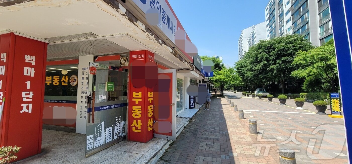 본문 이미지 - 마두동의 한 공인중개사사무소. 2024.5.29/뉴스1 ⓒ News1 황보준엽 기자