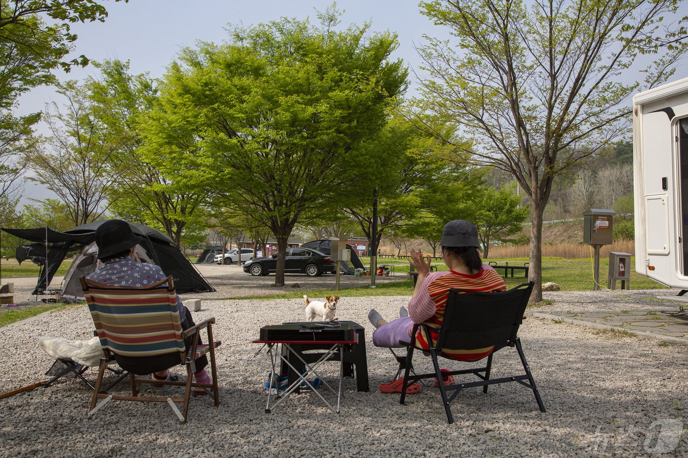 본문 이미지 - ◇호젓한 나만의 캠핑, 포천시 ‘비둘기낭캠핑장’.(경기관광공사 제공)/