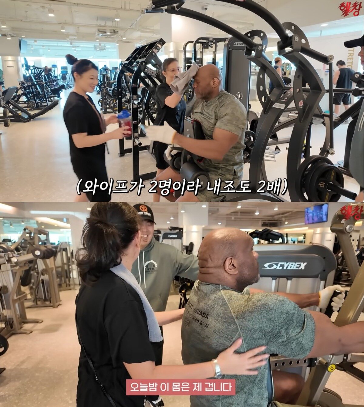 본문 이미지 - ('헬창TV' 갈무리)