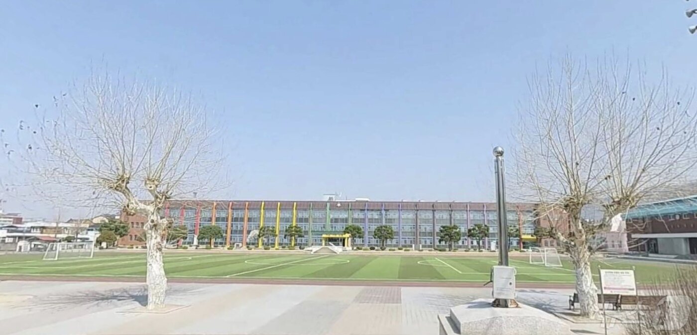 본문 이미지 - 플라타너스 나무 제거 전 모습.(다음지도 캡처)/뉴스1 