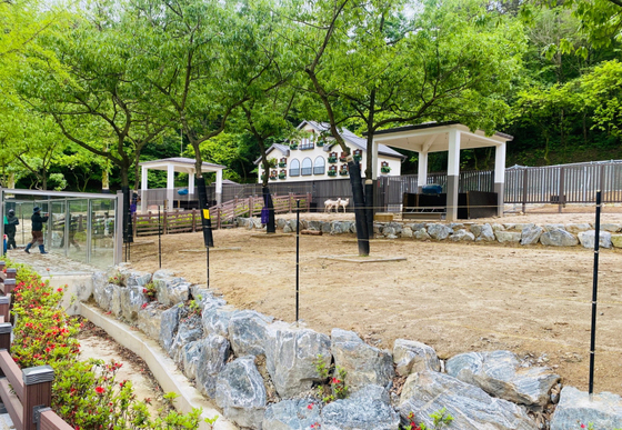 광주 우치동물원 동물 장묘 관리체계 구축