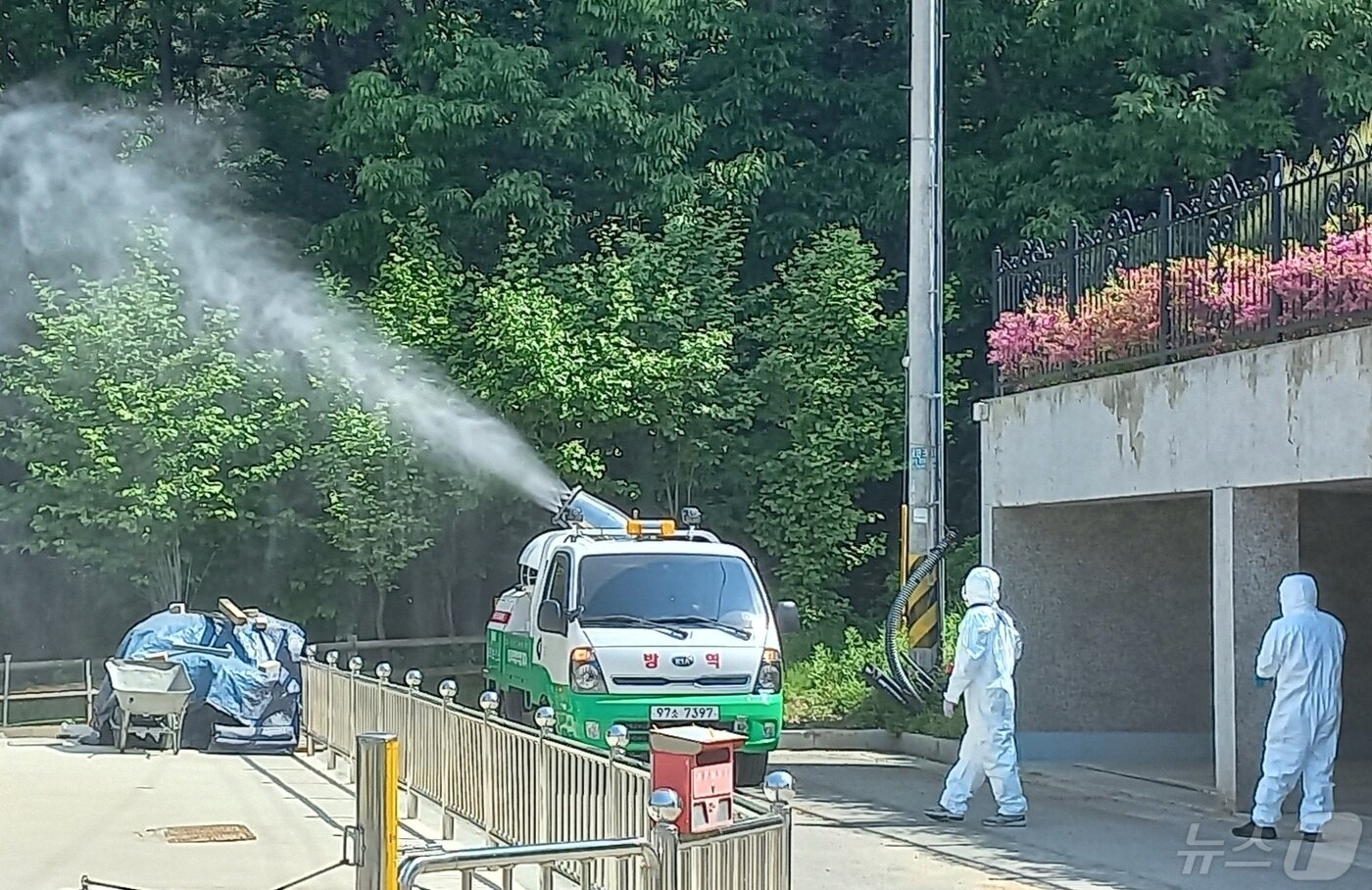본문 이미지 - 러브버그 방역.(청주시 제공).2024.05.03./뉴스1