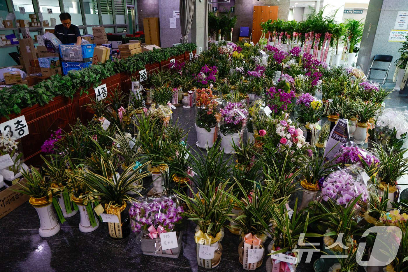 본문 이미지 - 제22대 국회 개원 이튿날인 31일 서울 여의도 국회의원회관에 의원실 앞으로 온 등원 축하 난이 가득 놓여 있다. 2024.5.31/뉴스1 ⓒ News1 안은나 기자