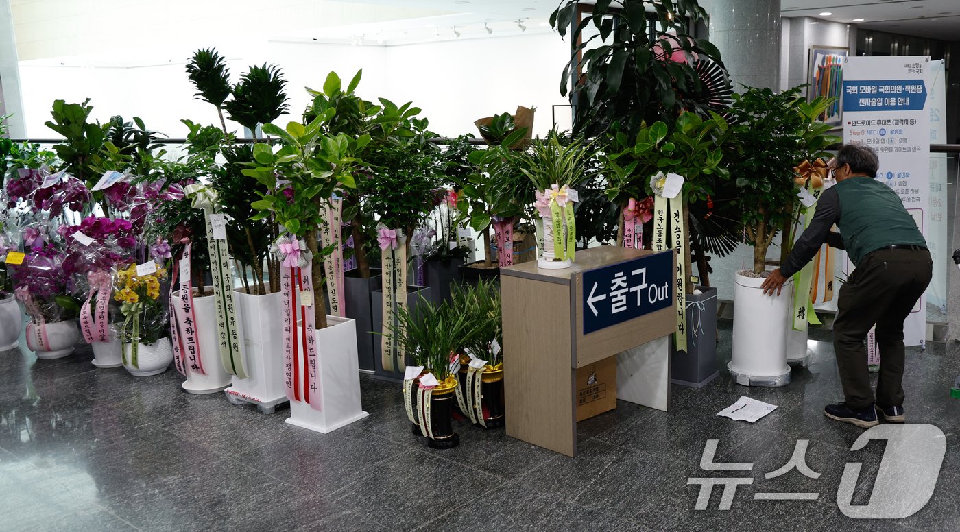 본문 이미지 - 제22대 국회 개원 이튿날인 31일 서울 여의도 국회의원회관에 의원실 앞으로 온 등원 축하 난이 가득 놓여 있다. 2024.5.31/뉴스1 ⓒ News1 안은나 기자