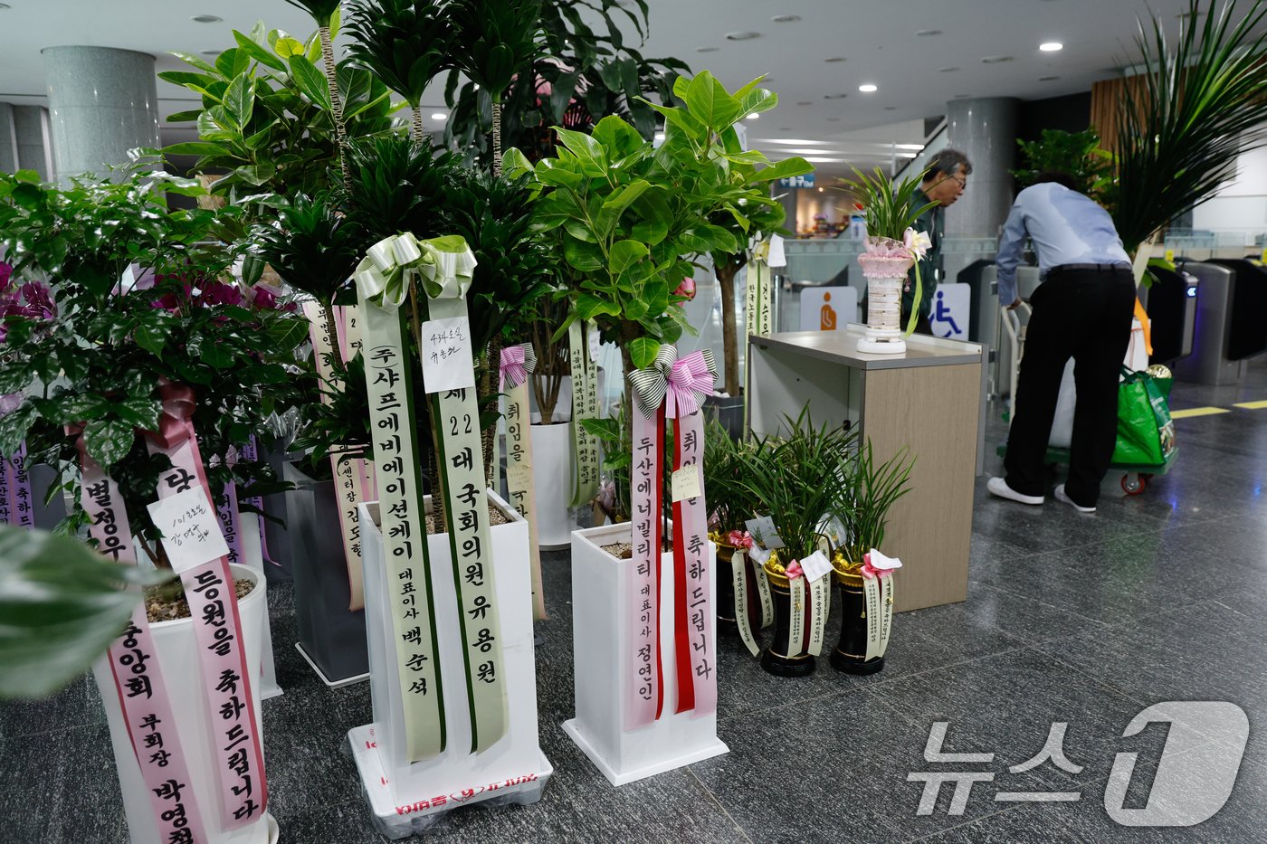 본문 이미지 - 제22대 국회 개원 이튿날인 31일 서울 여의도 국회의원회관에 의원실 앞으로 온 등원 축하 난이 가득 놓여 있다. 2024.5.31/뉴스1 ⓒ News1 안은나 기자