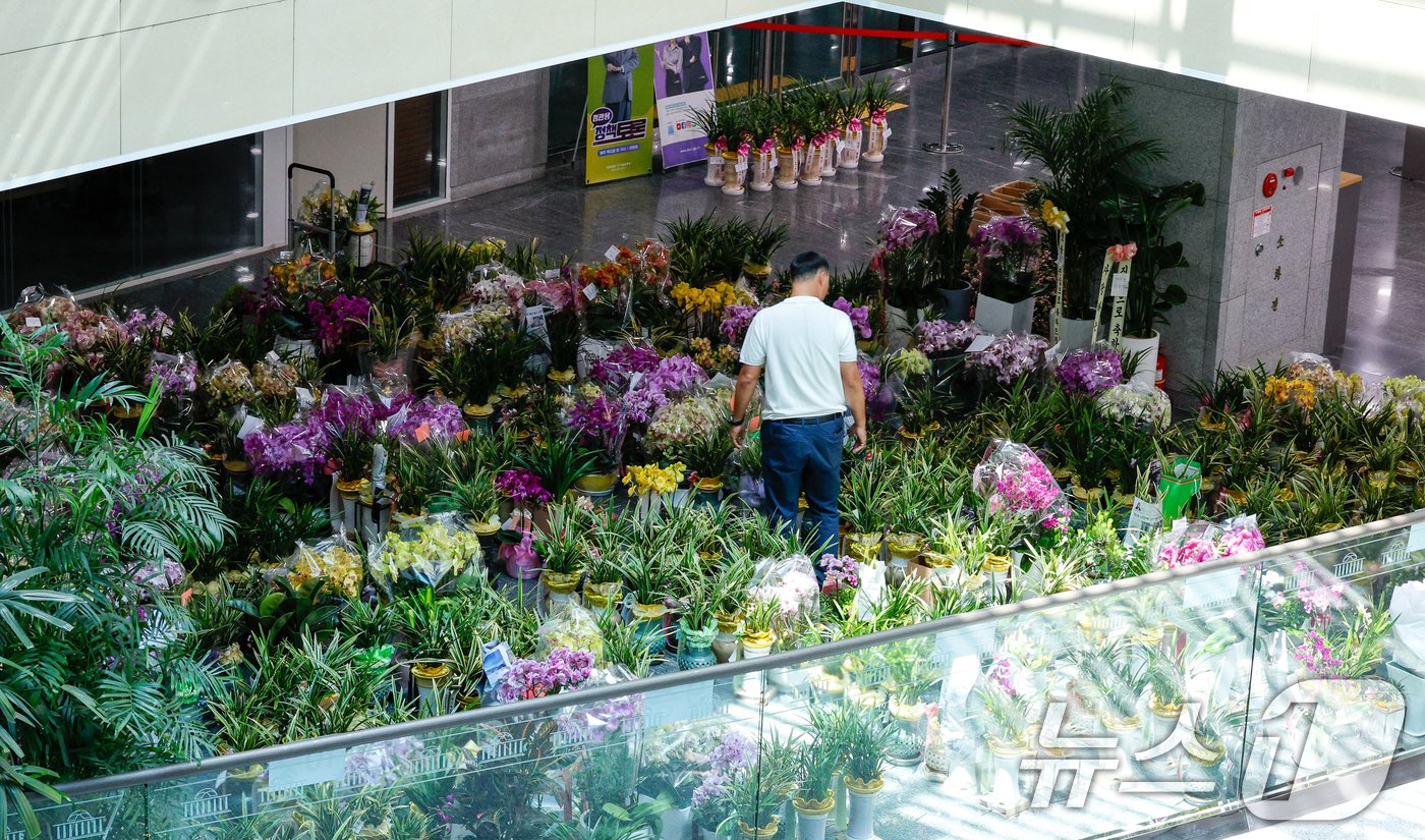 본문 이미지 - 제22대 국회 개원 이튿날인 31일 서울 여의도 국회의원회관에 의원실 앞으로 온 등원 축하 난이 가득 놓여 있다. 2024.5.31/뉴스1 ⓒ News1 안은나 기자