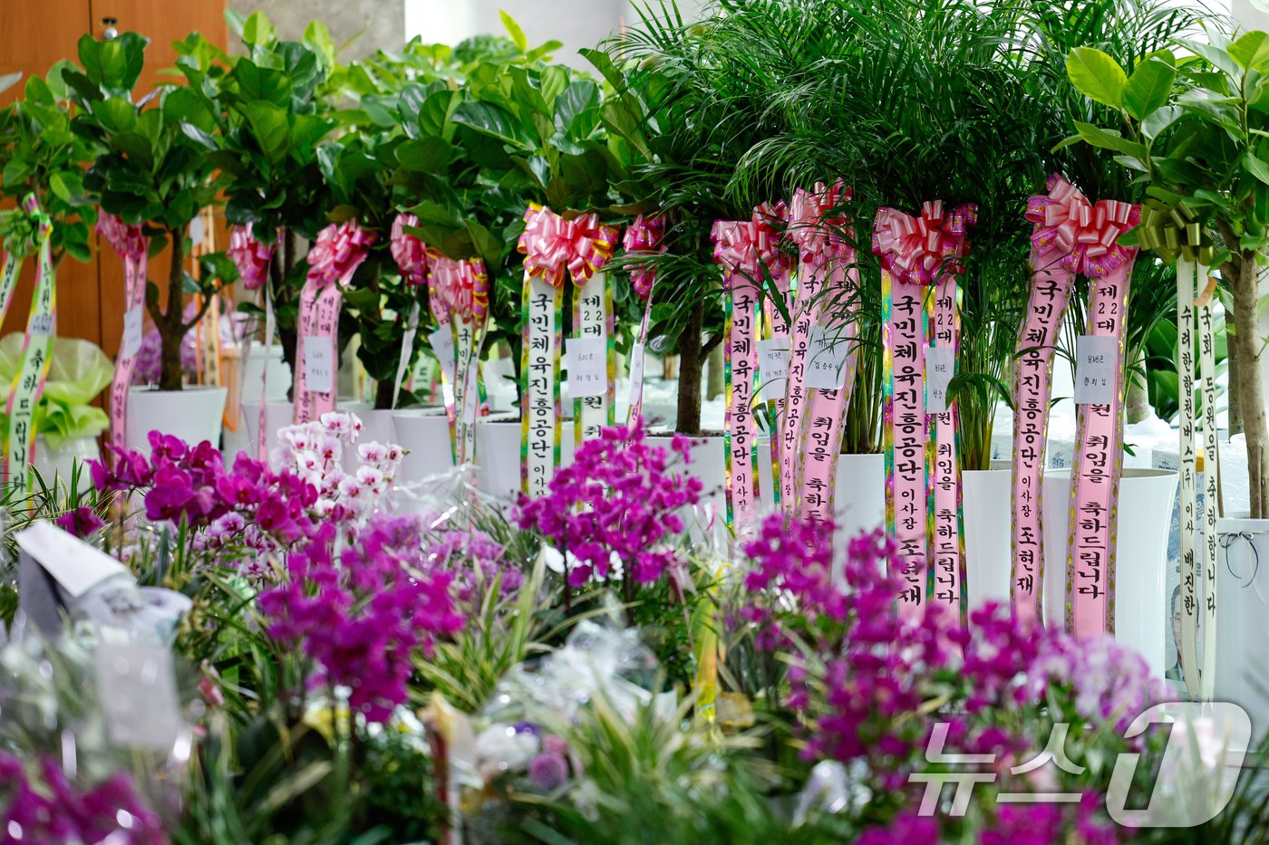 본문 이미지 - 제22대 국회 개원 이튿날인 31일 서울 여의도 국회의원회관에 의원실 앞으로 온 등원 축하 난이 가득 놓여 있다. 2024.5.31/뉴스1 ⓒ News1 안은나 기자