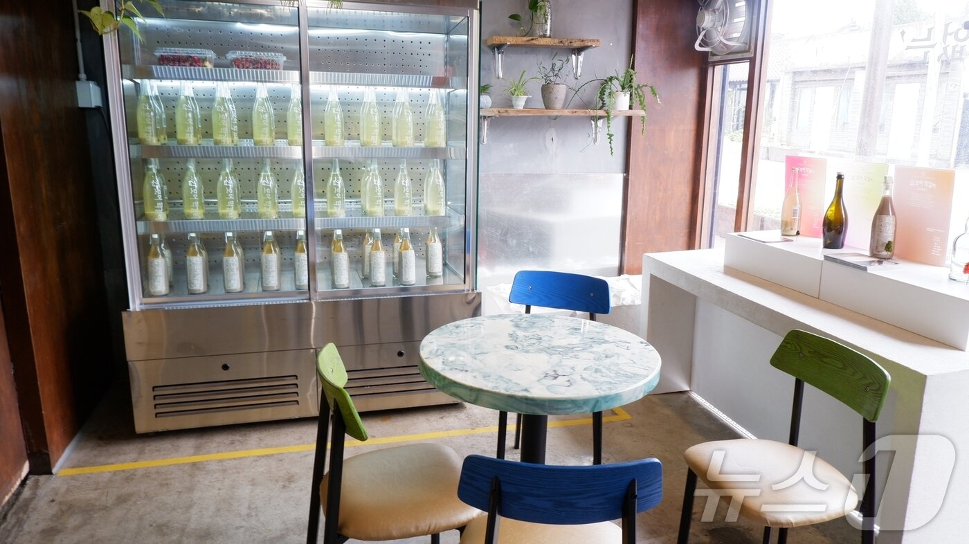 본문 이미지 - 일제 강점기에 만들어진 건물을 개보수한 경주식회사(깁모어 막걸리)ⓒ News1 윤슬빈 기자