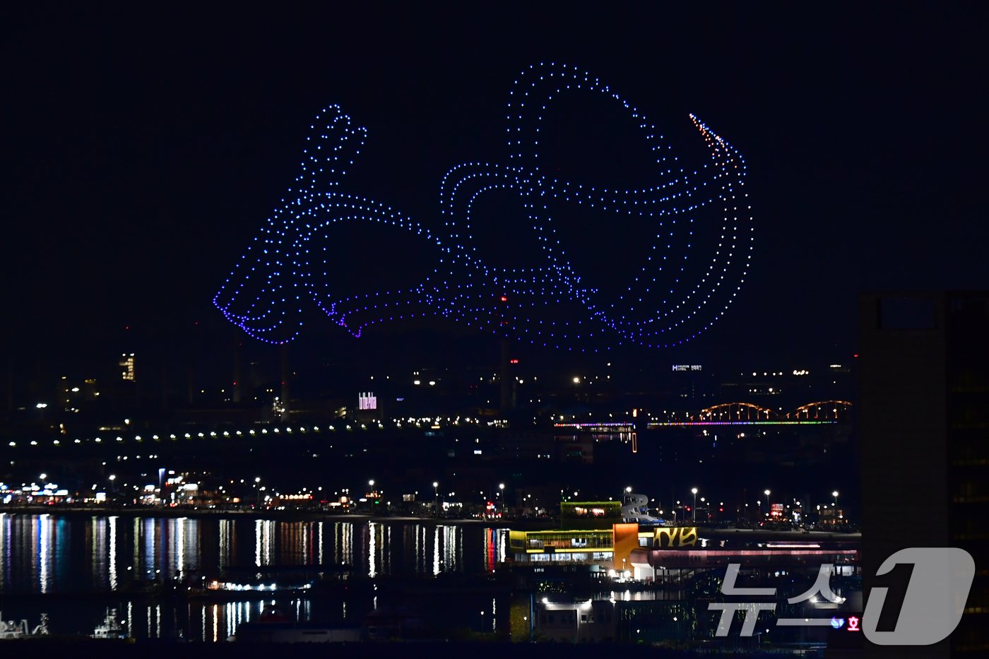 본문 이미지 -  '2024 포항국제불빛축제'를 맞아 1000대의 드론이 스페이스 워크를 만들고 있다. 2024.5.31/뉴스1 ⓒ News1 최창호 기자