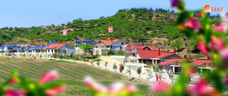 북한, 농촌마을의 '원림녹화사업' 강조…