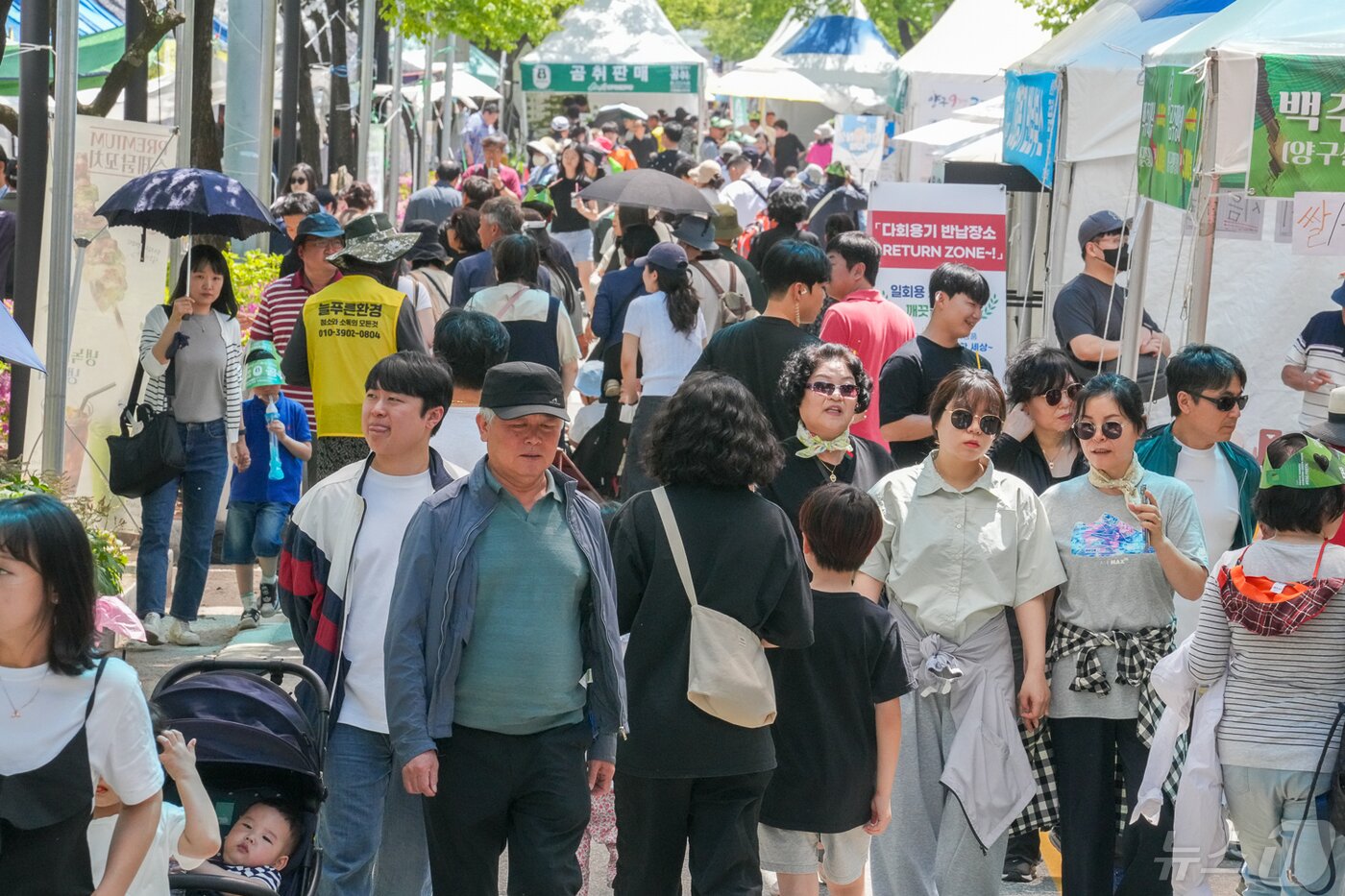본문 이미지 - 지난해 열린 청춘 양구 곰취축제&#39; 행사장 방문한 관광객들.&#40;자료사진&#41;/뉴스1 DB