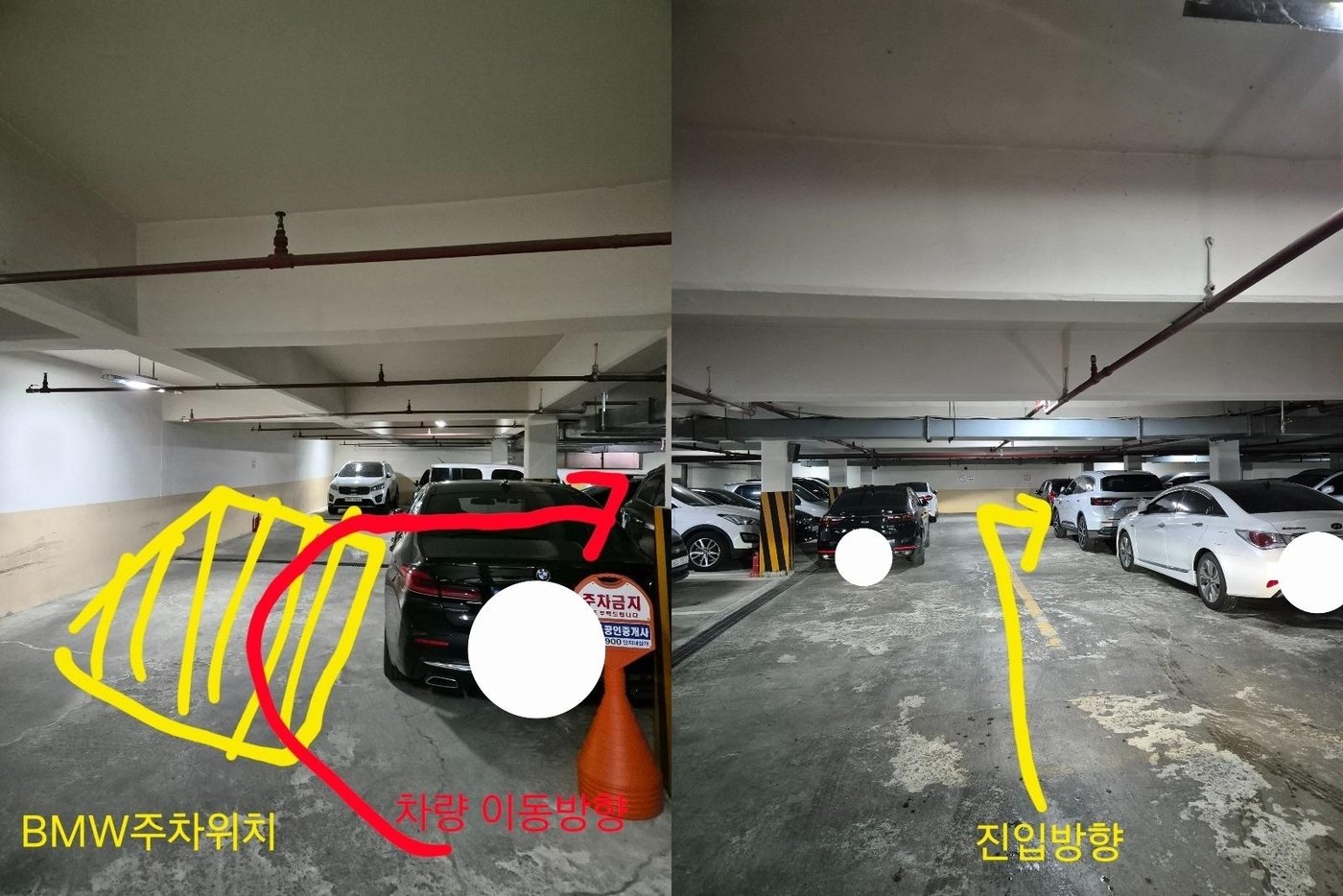 본문 이미지 - (보배드림 갈무리)