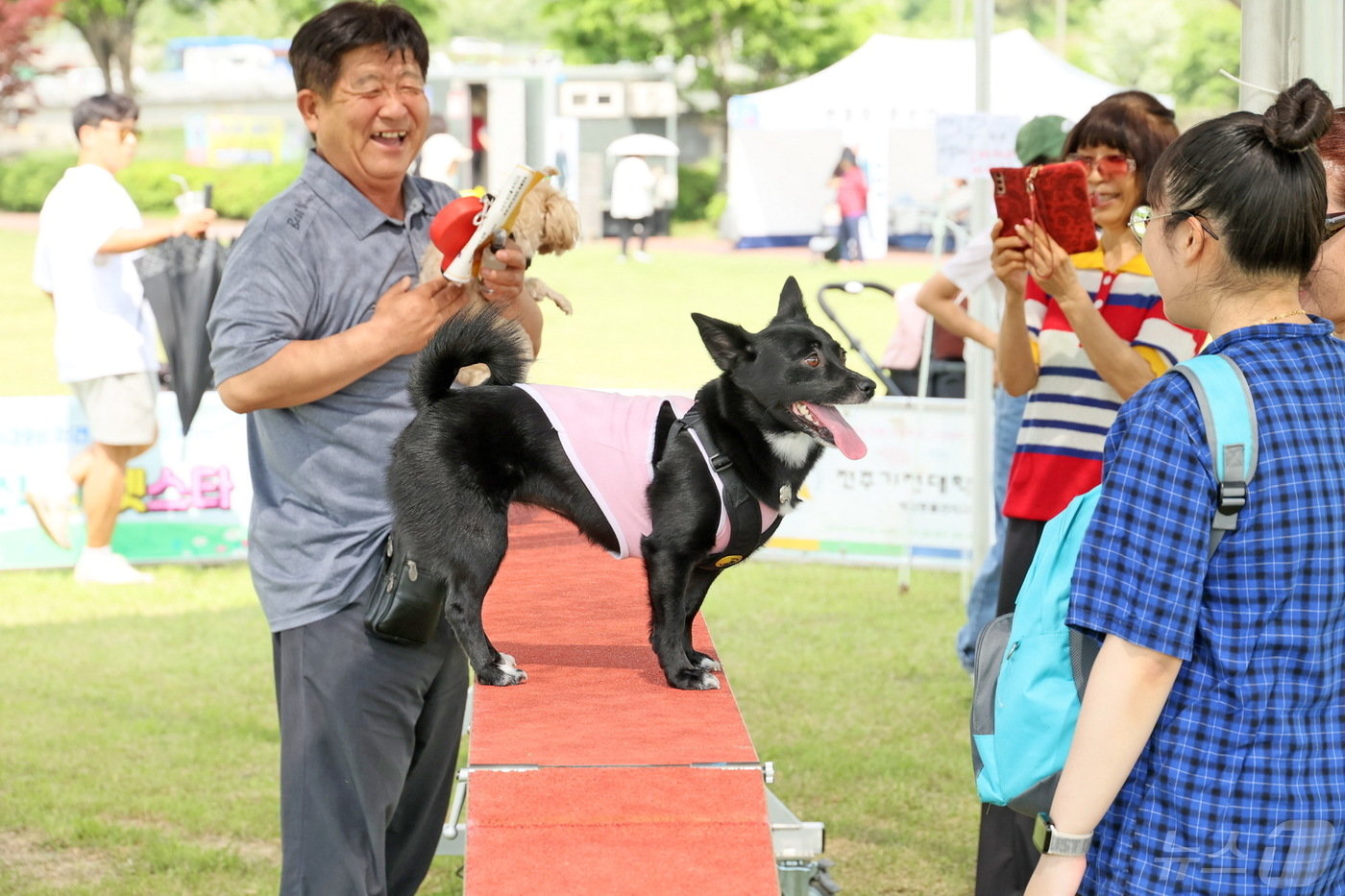 지난 4~6일 전북자치도 임실군에서 열린 반려동물 문화축제 ‘제39회 의견문화제와 함께하는 2024 임실N펫스타’가 성황리에 마무리됐다.&#40;임실군제공&#41;2024.5.7/뉴스1