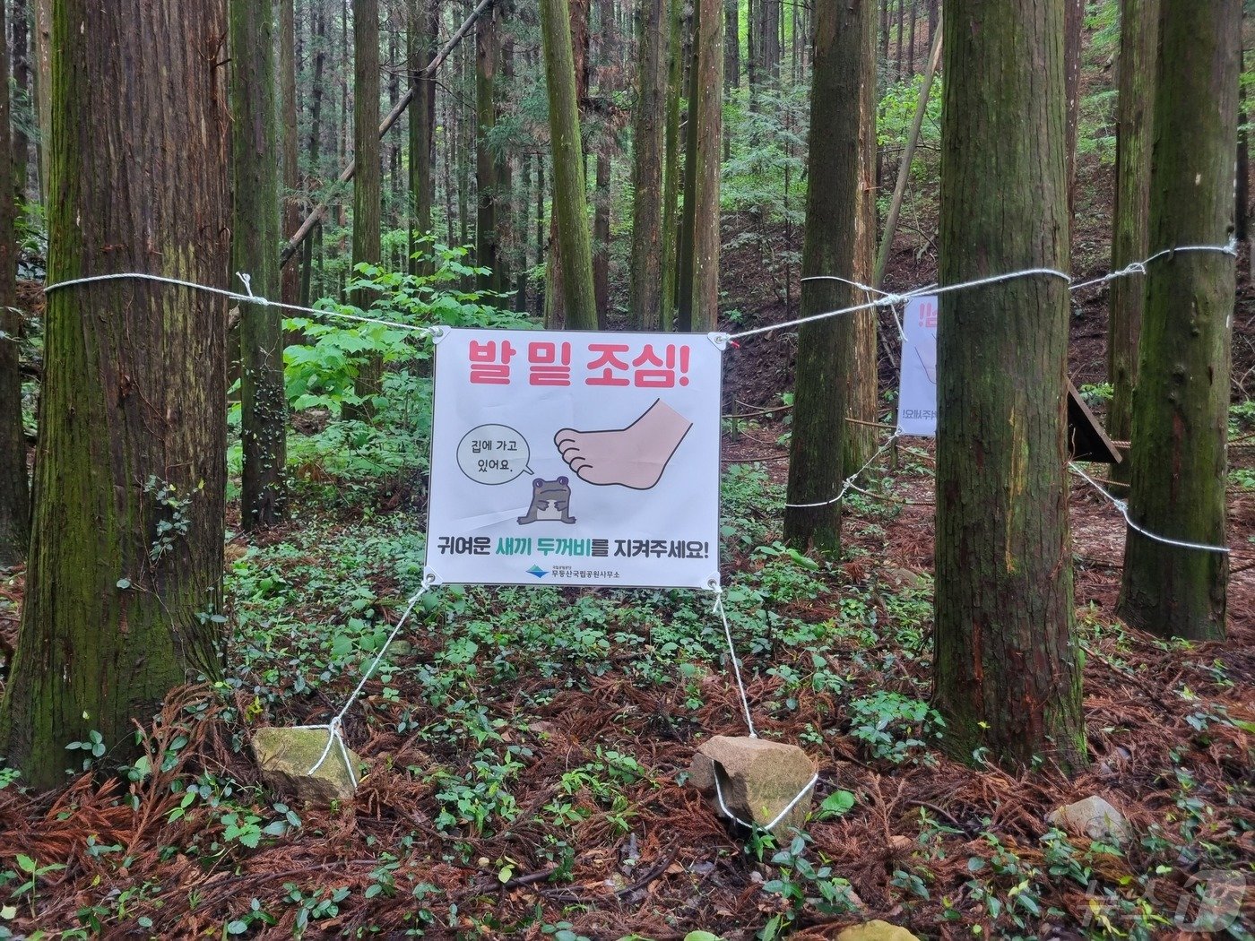 본문 이미지 - 무등산에 두꺼비를 지켜달라는 내용의 현수막이 부착돼 있다.(무등산국립공원사무소 제공) 2024.5.7