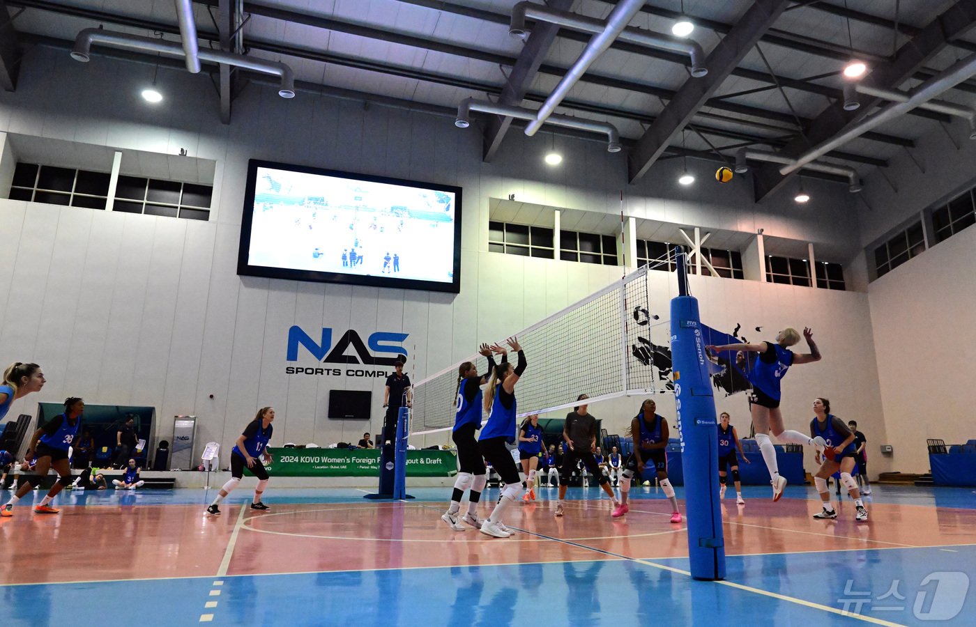 본문 이미지 - UAE 두바이서 펼쳐지고 있는 여자부 외국인 트라이아웃 (한국배구연맹 제공)