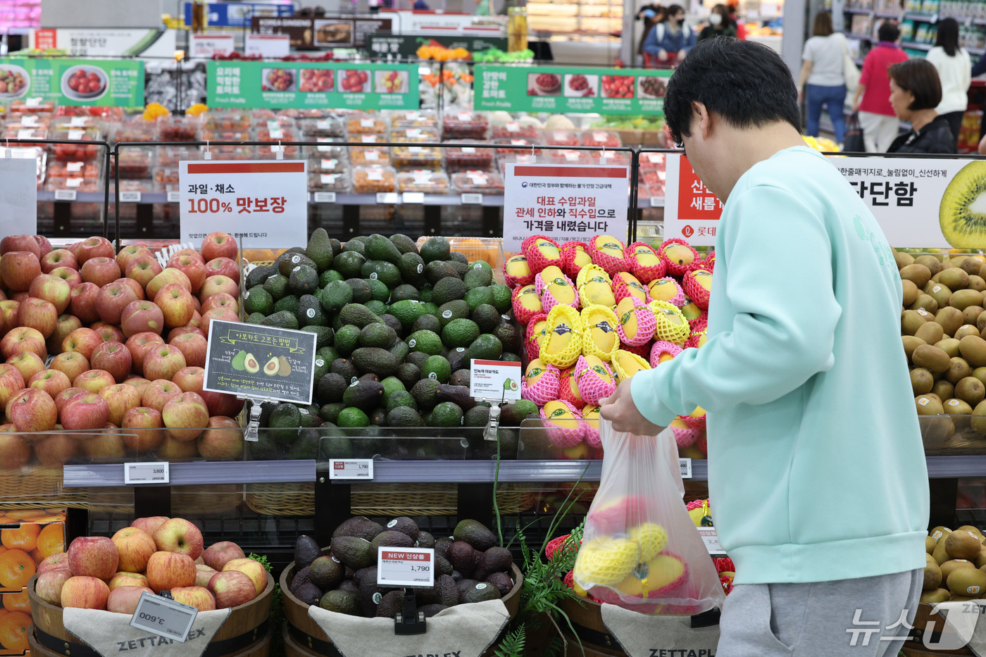 (서울=뉴스1) 신웅수 기자 = 8일 서울의 한 대형마트에서 시민들이 수입 과일을 살펴보고 있다.국산 과일 가격이 강세를 이어가면서 대체 과일인 바나나, 파인애플 수입량이 전년보다 …