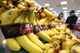 바나나·파인애플 수입 증가