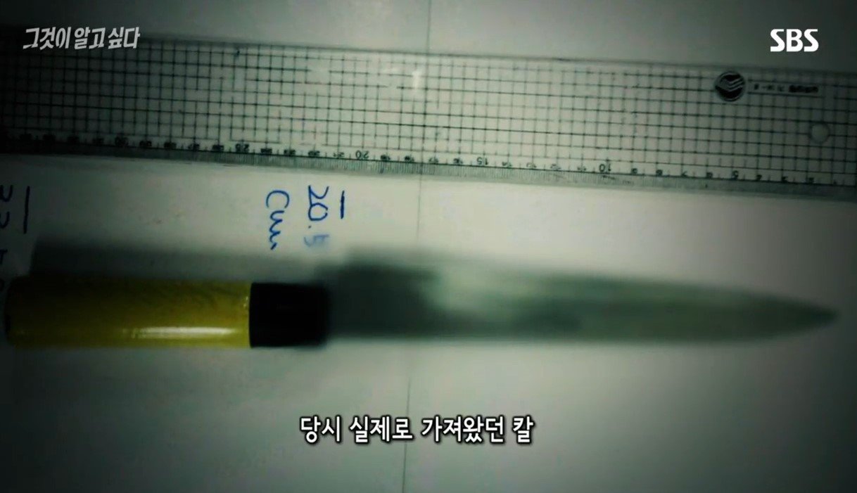 본문 이미지 - 우 씨가 자수하러 왔을 때 지구대에 들고 온 회칼. 우 씨는 이와 비슷한 것으로 이 씨를 살해했다고 진술했다. (SBS '그것이 알고 싶다' 갈무리)